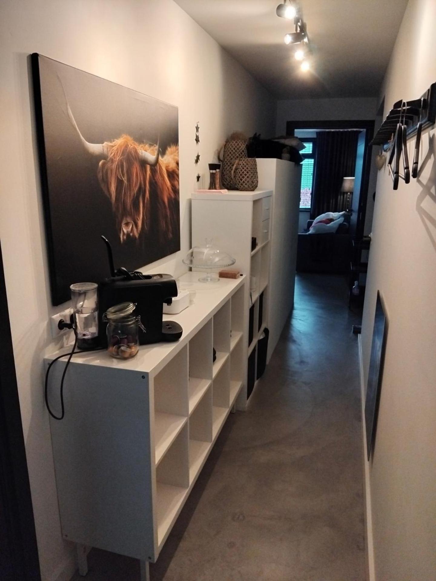 Ruunerwoldse Stekkie met eigen badkamer Ruinerwold Buitenkant foto